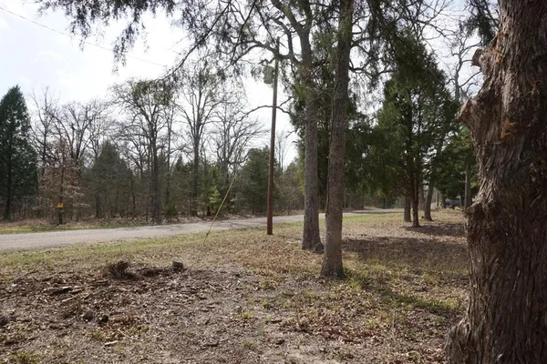 a view of outdoor space with trees
