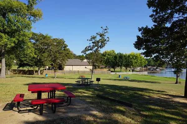 a view of a park with large trees and plants