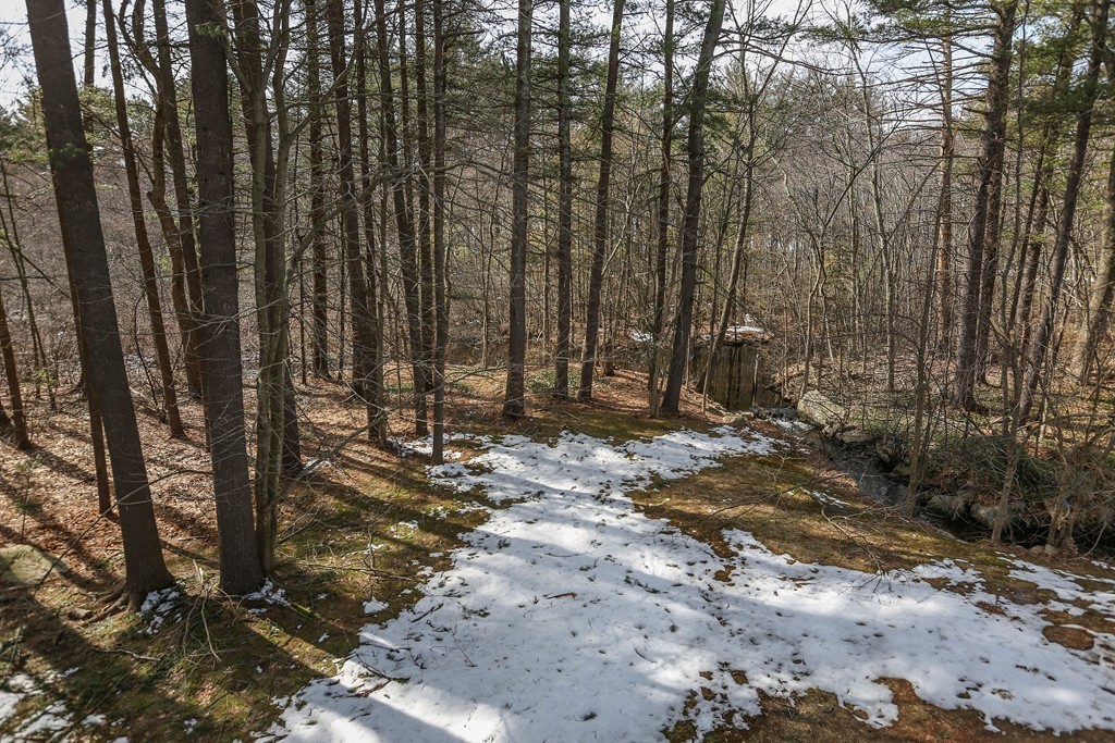 45 Mossman Road Sudbury, MA 01776 - Photo 24 of 24 Gallery Image 24