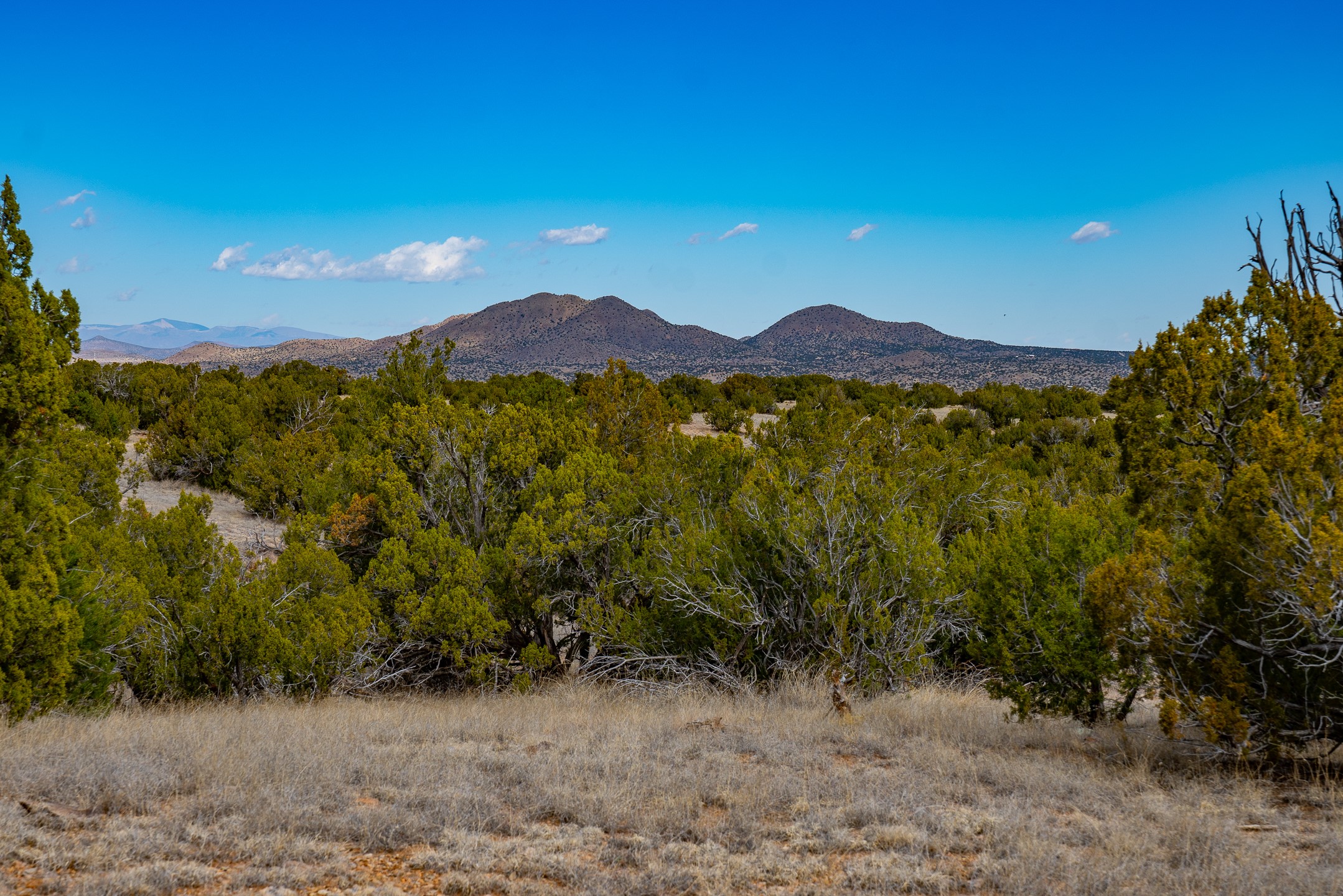 49-65 Blue Agave/grenfell Ranch Cerrillos, NM 87010 - Photo 10 of 36