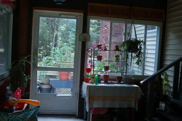 a view of a yard with a house