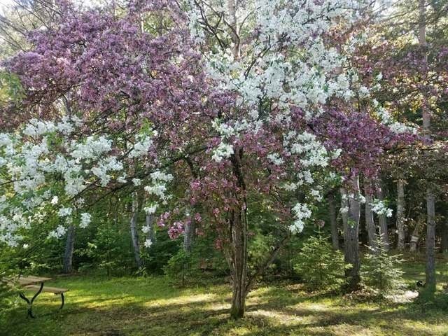 4130 Shore Dr Drive Rhinelander, WI 54501 - Photo 6 of 20 Gallery Image 6