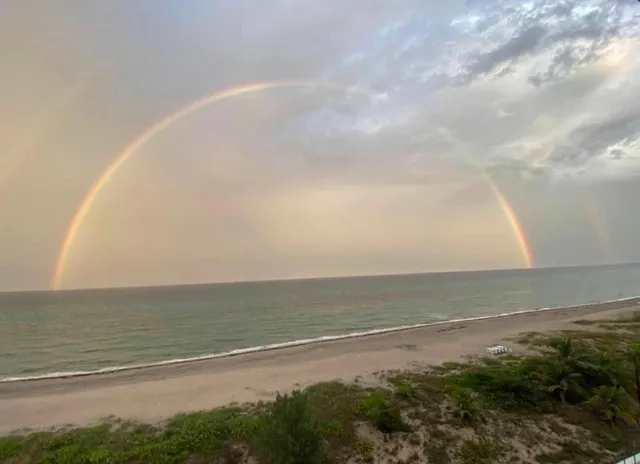 a view of a backyard with lawn chairs