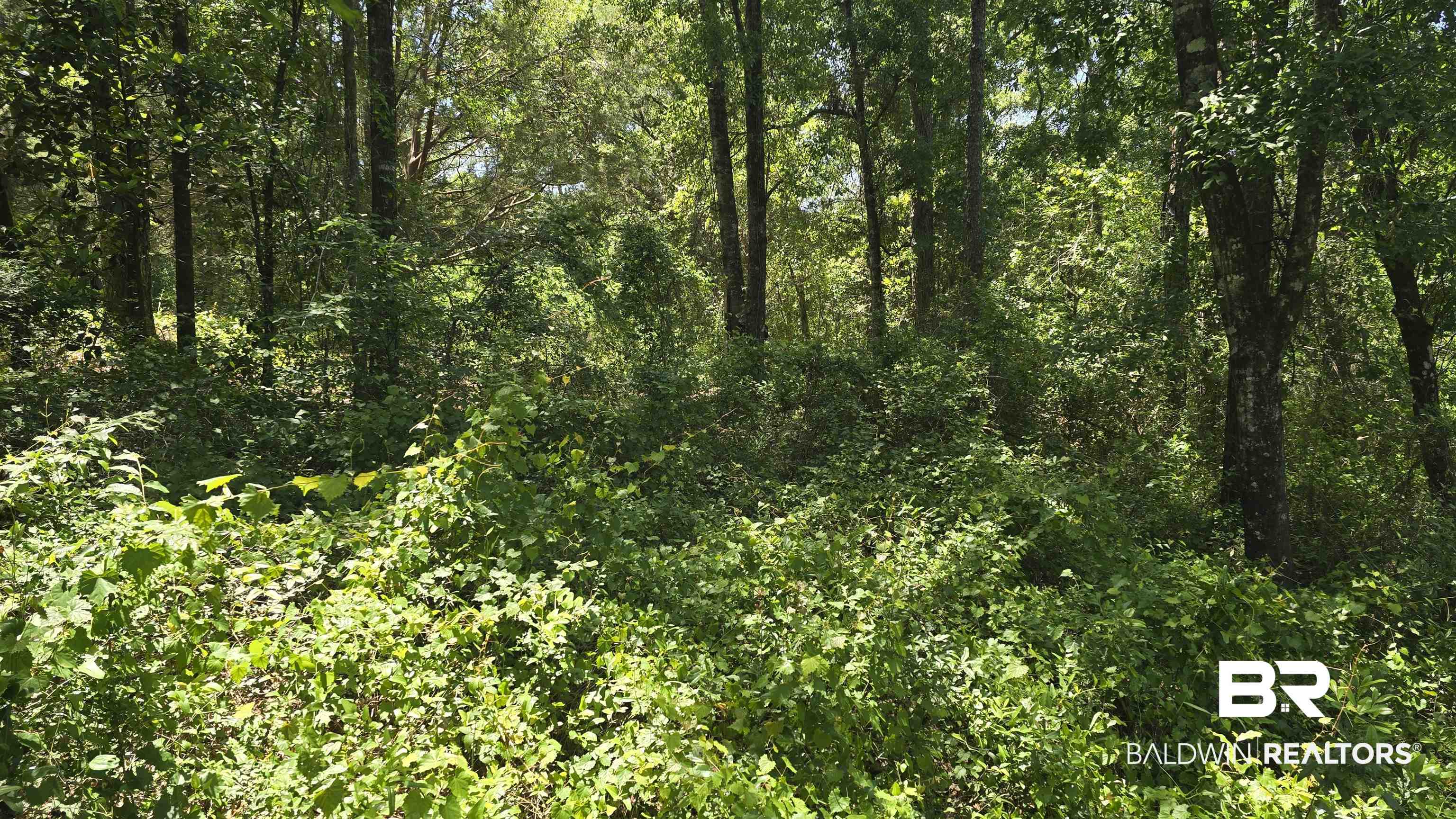 0 Toler Road Silverhill, AL 36576 - Photo 3 of 9