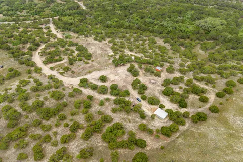 a view of backyard of house