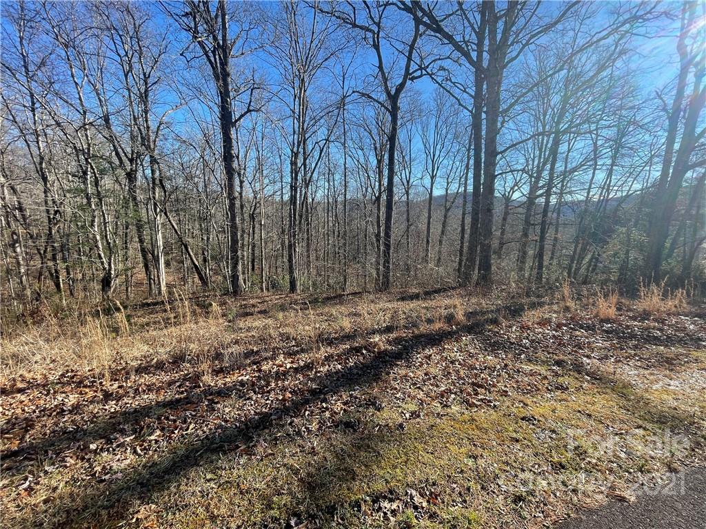 999 South Hampton Road, Unit 38 Brevard, NC 28712 - Photo 1 of 13 Gallery Image 1