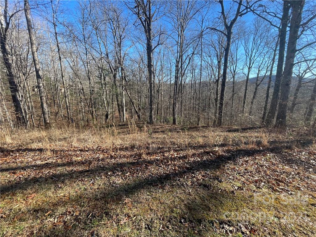 999 South Hampton Road, Unit 38 Brevard, NC 28712 - Photo 3 of 13 Gallery Image 3