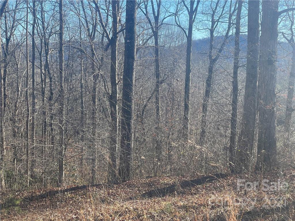 999 South Hampton Road, Unit 38 Brevard, NC 28712 - Photo 10 of 13 Gallery Image 10