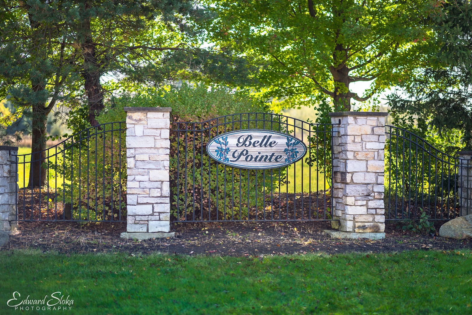 9404 Emily Lane Union, IL 60180 - Photo 2 of 2 a sign board with a tree in the background