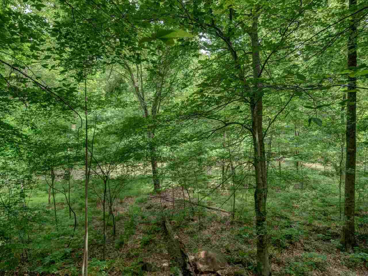 1100 Trail End Road Durham, NC 27712 - Photo 28 of 30 Heavily wooded