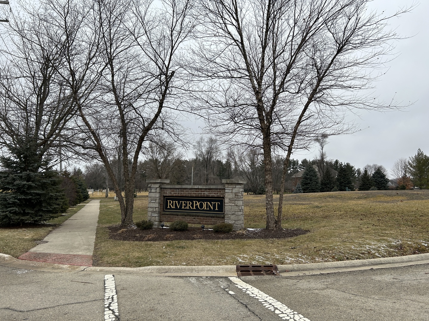 a view of a park with trees