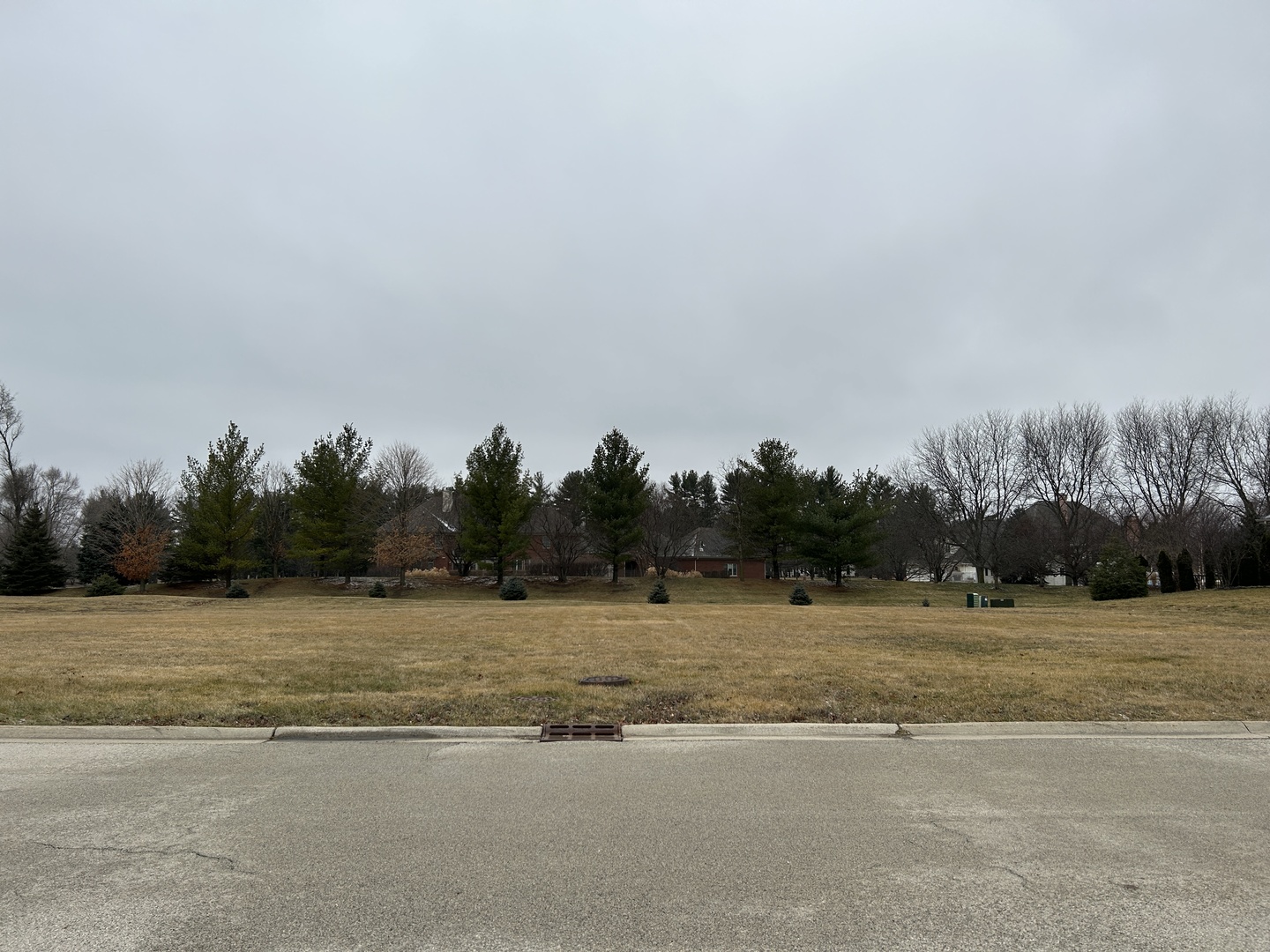 16238 Gamay Drive Plainfield, IL 60586 - Photo 2 of 4 a view of a lake view with houses in back