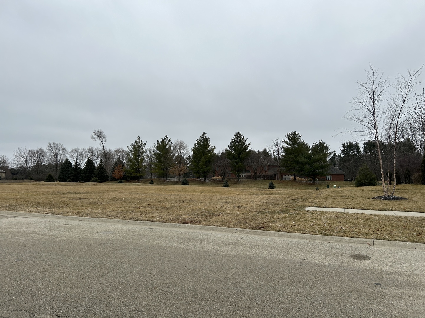16238 Gamay Drive Plainfield, IL 60586 - Photo 3 of 4 a view of a lake and trees