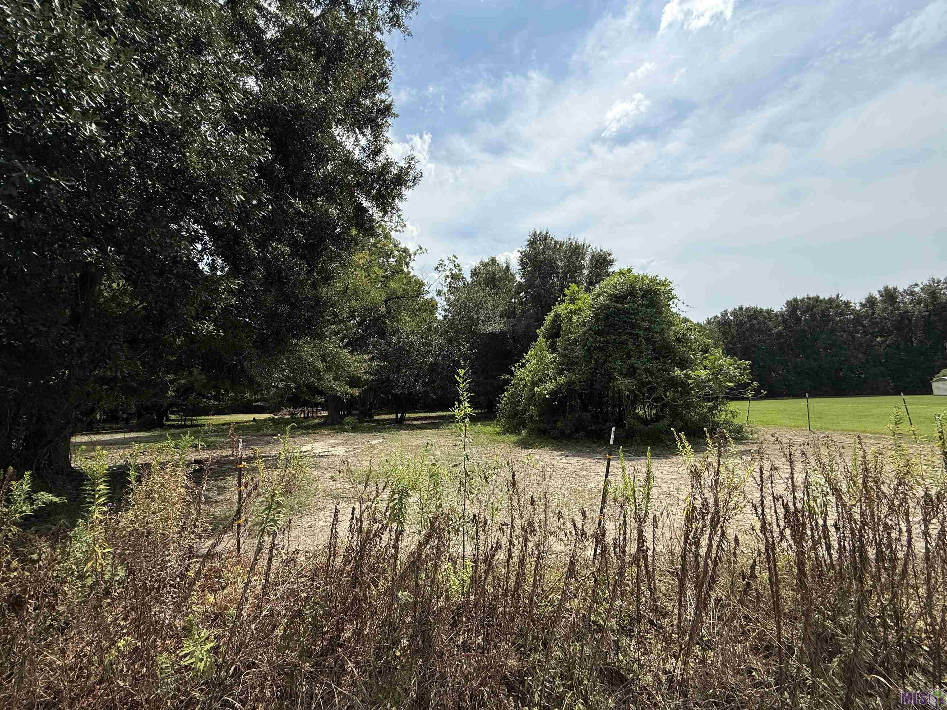 1400-1600 Central Road Baton Rouge, LA 70807 - Photo 2 of 4