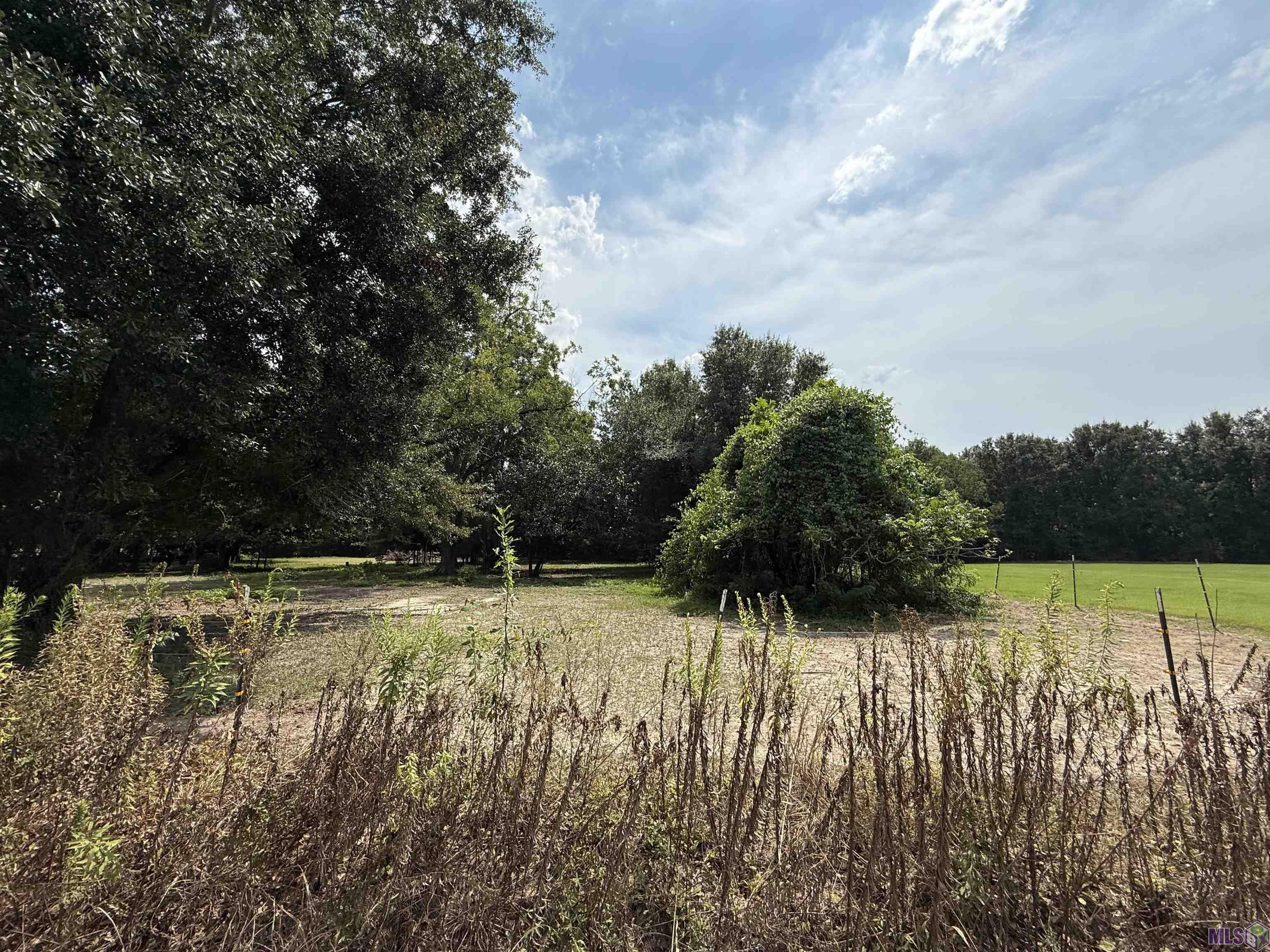 1400-1600 Central Road Baton Rouge, LA 70807 - Photo 4 of 4