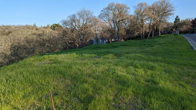 a view of a grassy field with trees