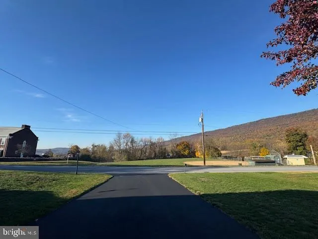 a view of a park with large trees