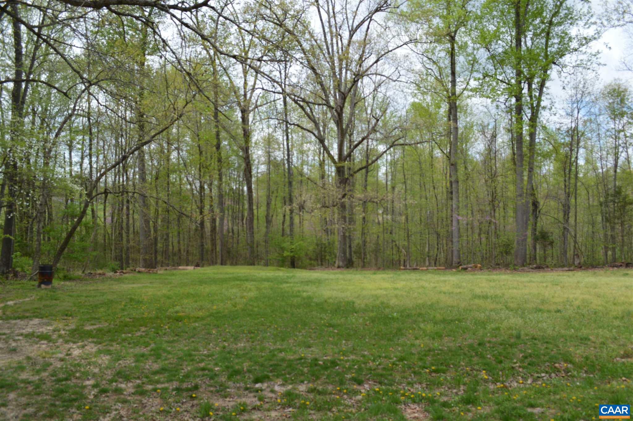 1280 Bell Road Dillwyn, VA 23936 - Photo 6 of 6 a big yard with trees