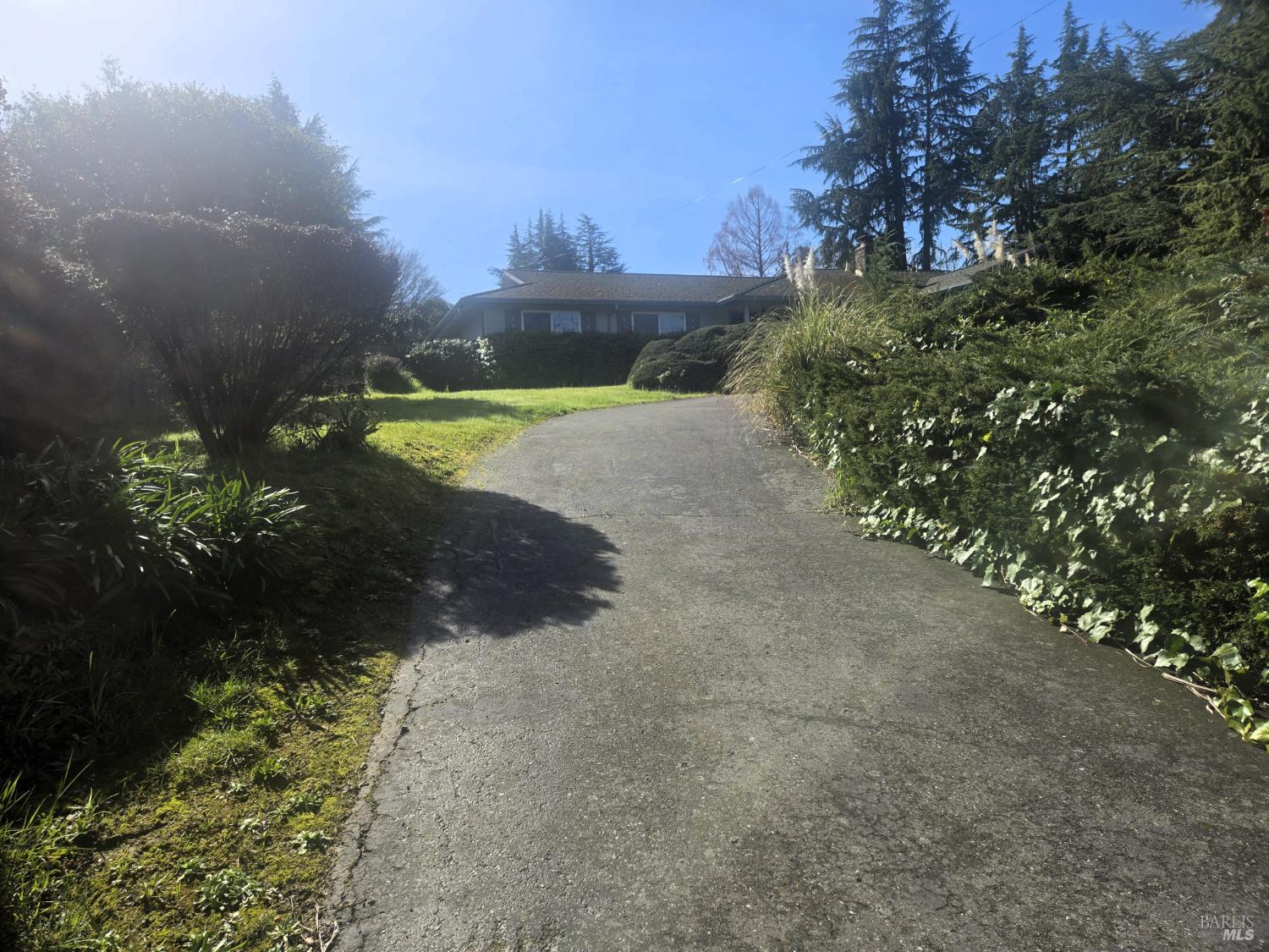 7149 Lynch Road Sebastopol, CA 95472 - Photo 19 of 19