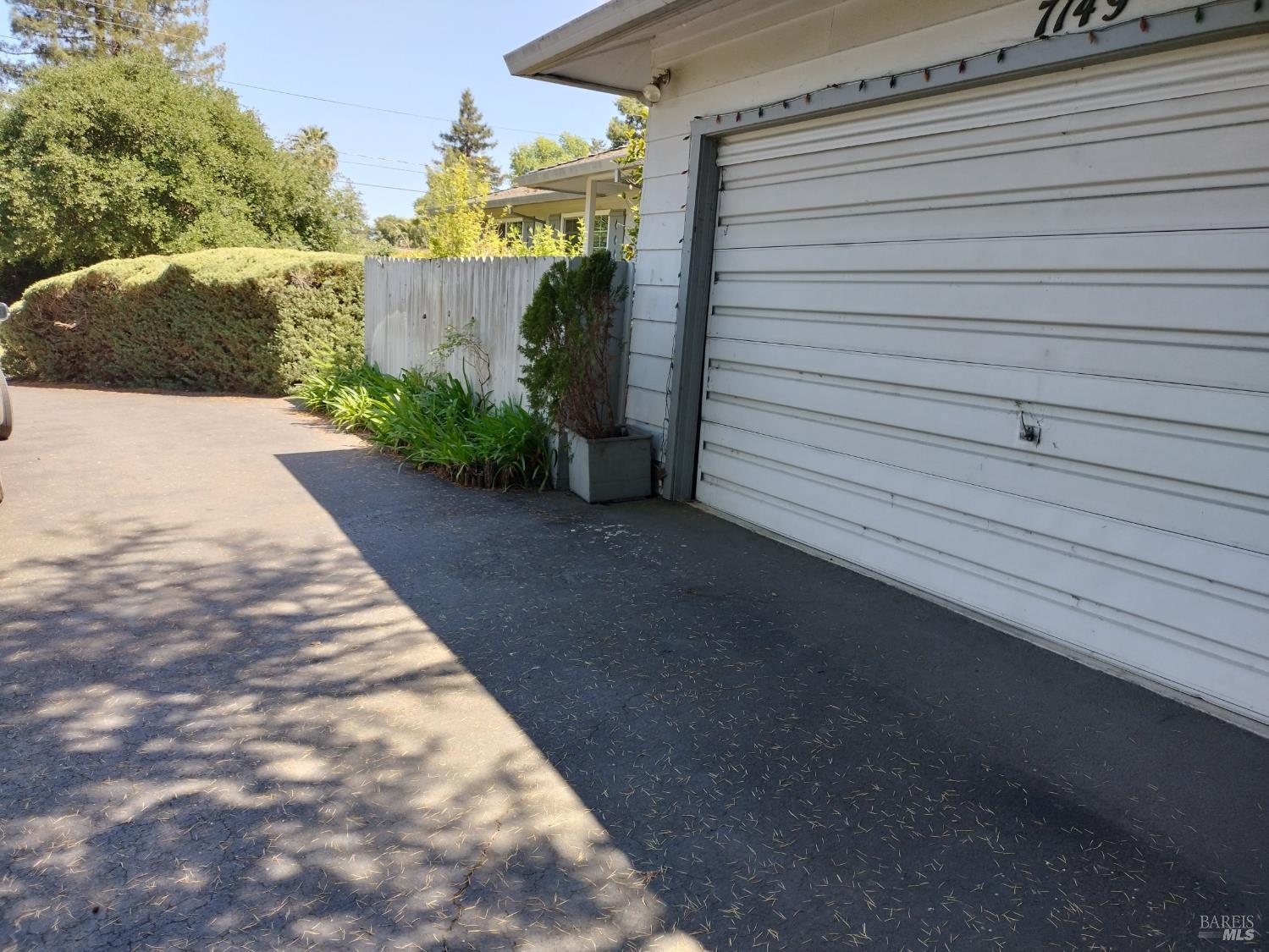 7149 Lynch Road Sebastopol, CA 95472 - Photo 19 of 25 a view of a backyard