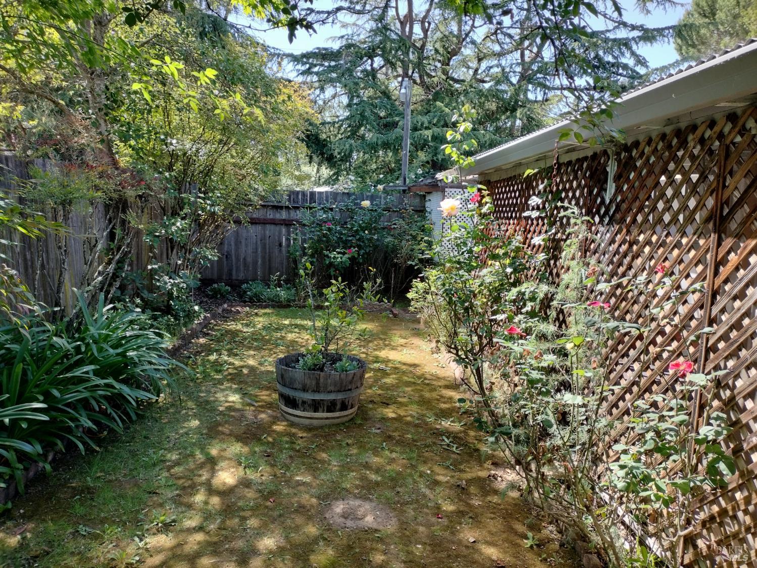 7149 Lynch Road Sebastopol, CA 95472 - Photo 20 of 25 a view of a backyard with plants and flowers