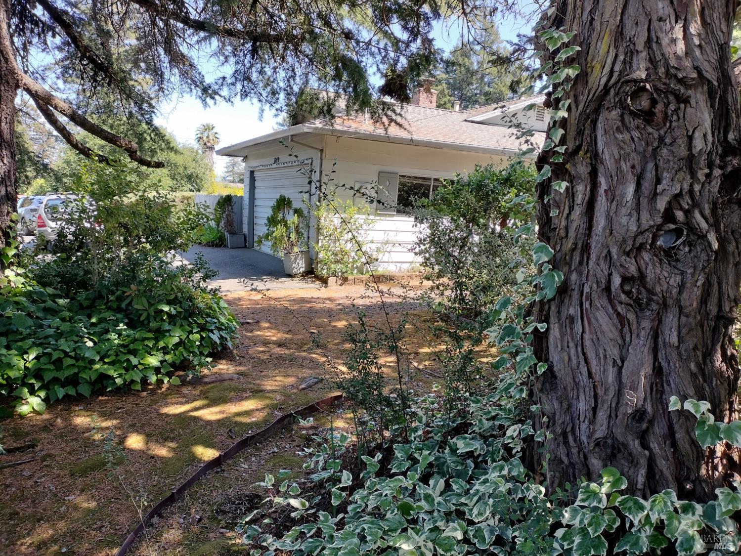 7149 Lynch Road Sebastopol, CA 95472 - Photo 23 of 25 a view of a house with a tree