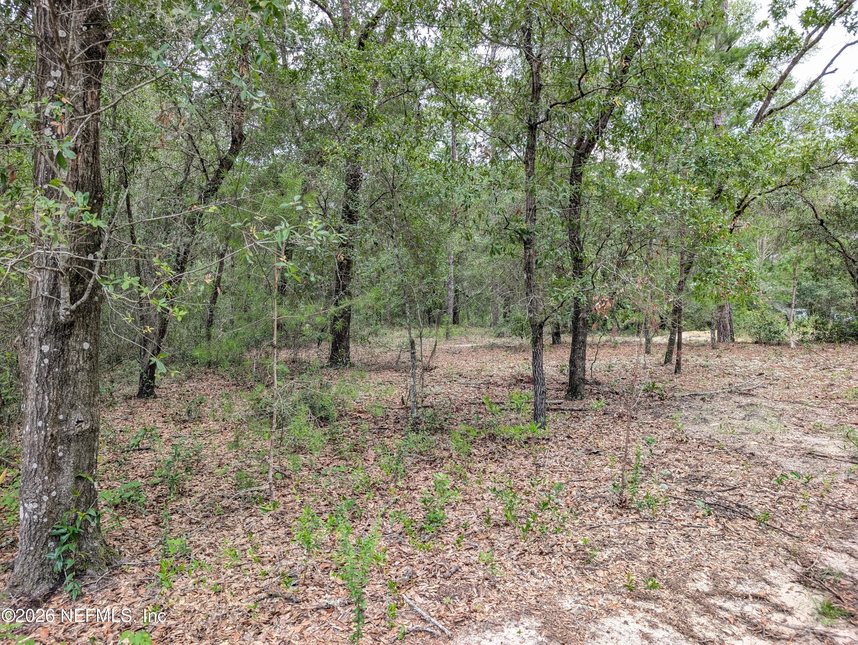 238 Keuka Road Interlachen, FL 32148 - Photo 10 of 11 PXL_20260626_175154942