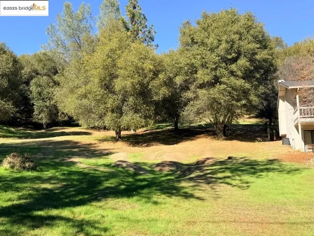 a view of a yard with an outdoor space