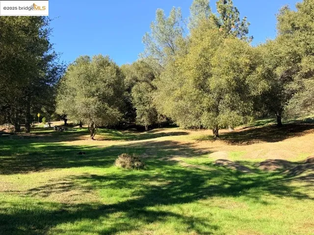 a view of swimming pool with a yard