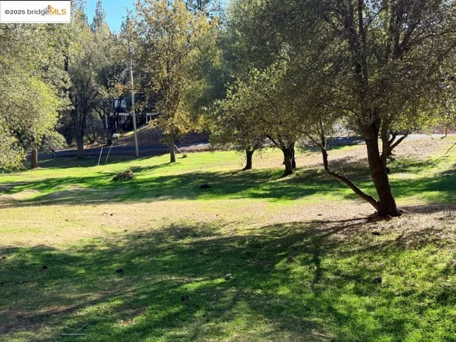 a view of a park with large trees