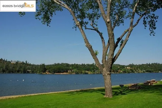 a view of a yard with an tree