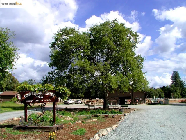 a view of a backyard with entertaining space