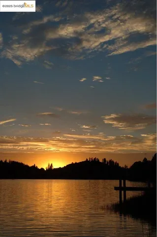 a view of a tree in a yard