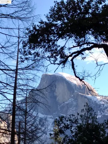 a view of multiple houses