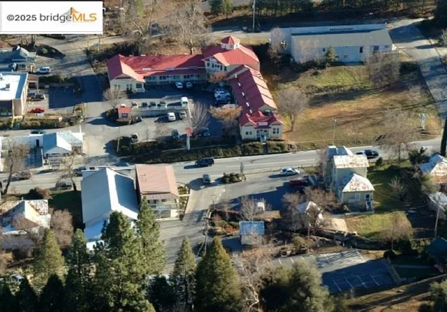 a view of a bunch of trees in a field