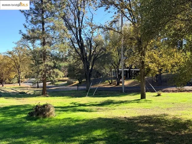 a view of a park with large trees