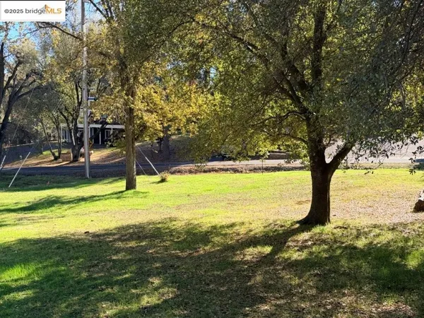 a view of a tree with a yard