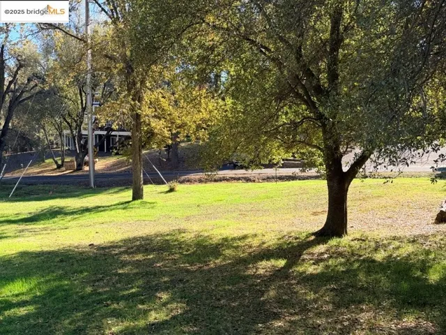 a view of a tree with a yard