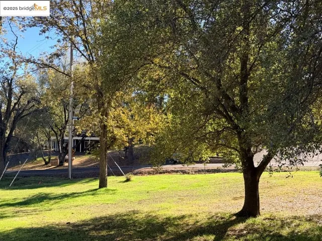 a view of a yard with an outdoor space