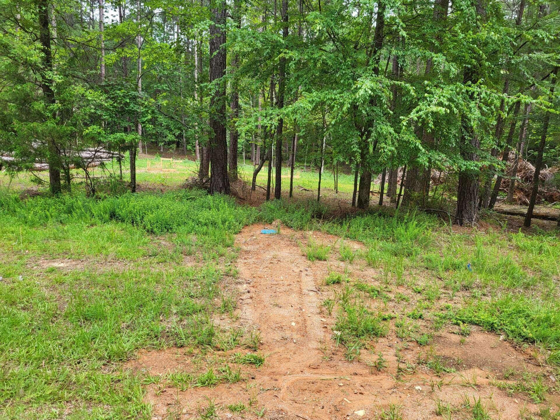 0 Bordeaux Road McCormick, SC 29835 - Photo 6 of 13