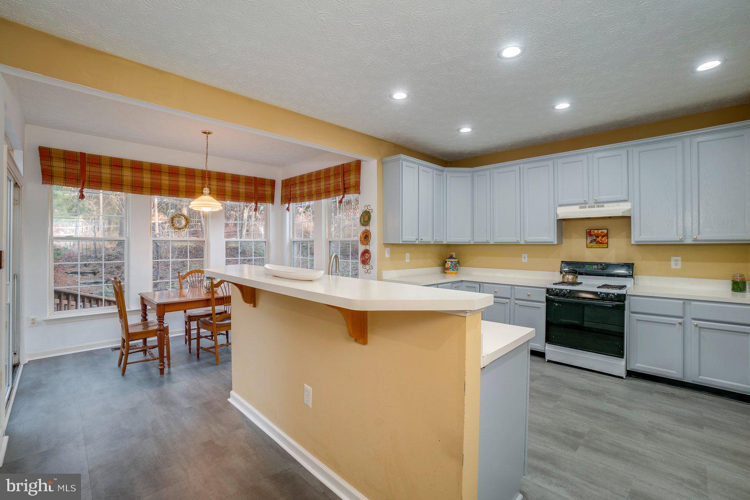 205 Raccoon Run Court Hanover, MD 21076 - Photo 16 of 57