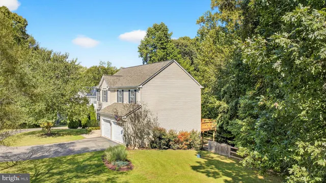 a view of a garden with plants