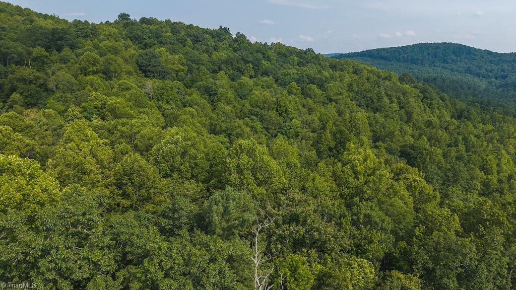 Tbd Brushy Mountain Road Moravian Falls, NC 28654 - Photo 11 of 26