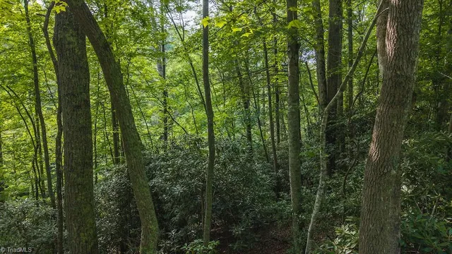 $164,900 | Tbd Brushy Mountain Road, Moravian Falls, NC 28654