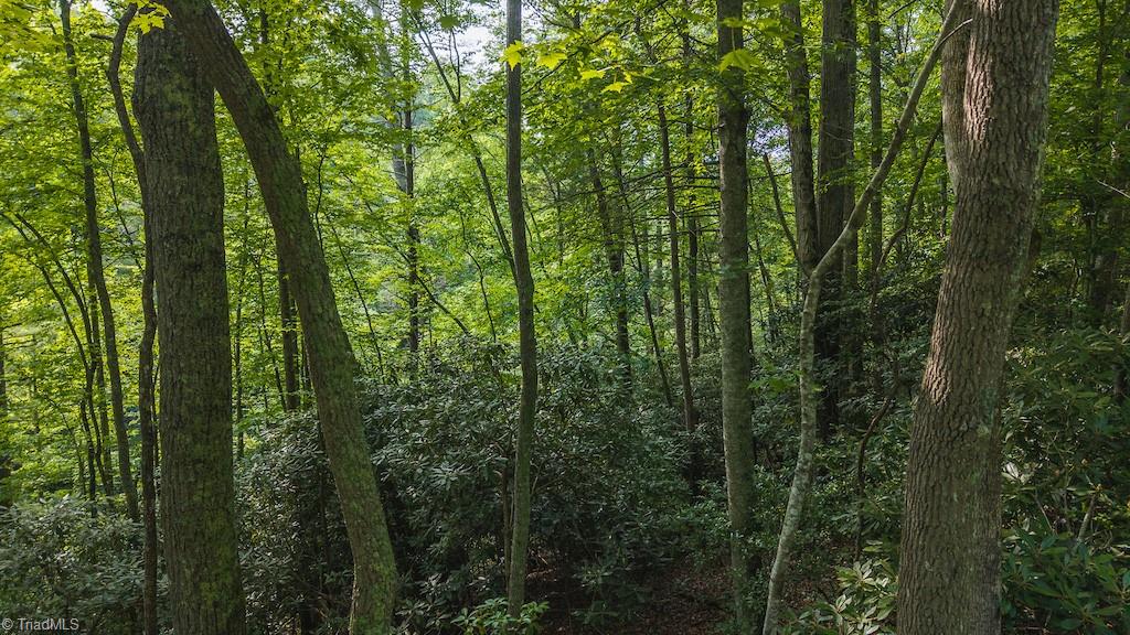 Tbd Brushy Mountain Road Moravian Falls, NC 28654 - Photo 12 of 26