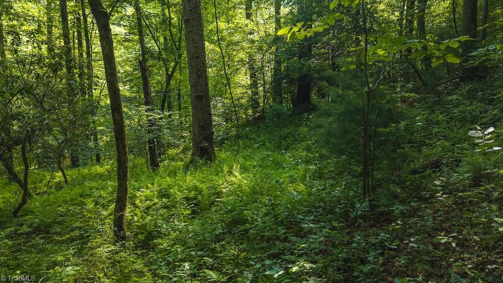Tbd Brushy Mountain Road Moravian Falls, NC 28654 - Photo 14 of 26