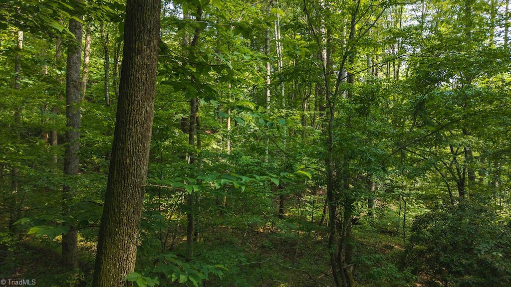 Tbd Brushy Mountain Road Moravian Falls, NC 28654 - Photo 15 of 26