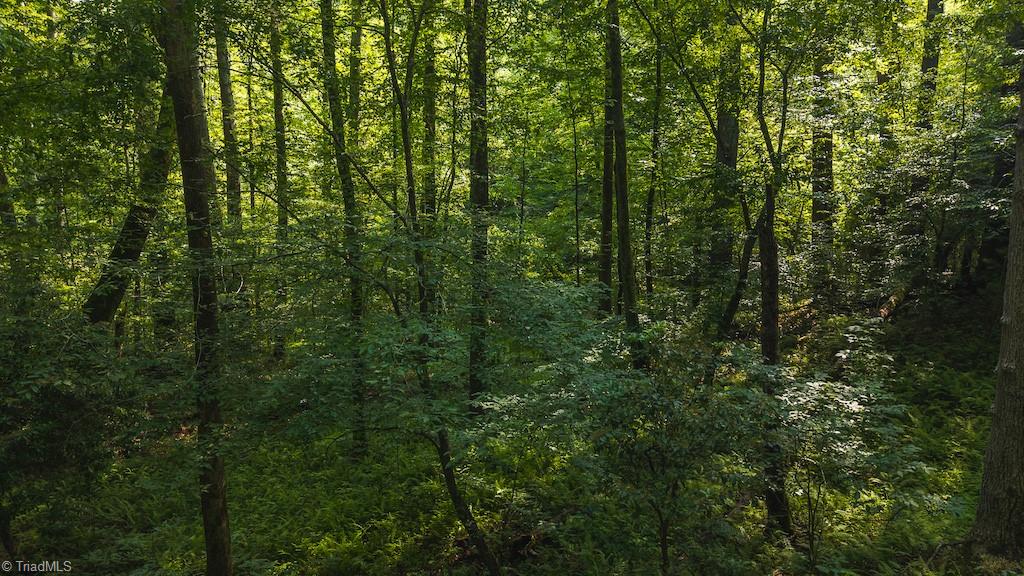 Tbd Brushy Mountain Road Moravian Falls, NC 28654 - Photo 17 of 26