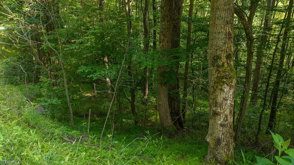 Tbd Brushy Mountain Road Moravian Falls, NC 28654 - Photo 18 of 26