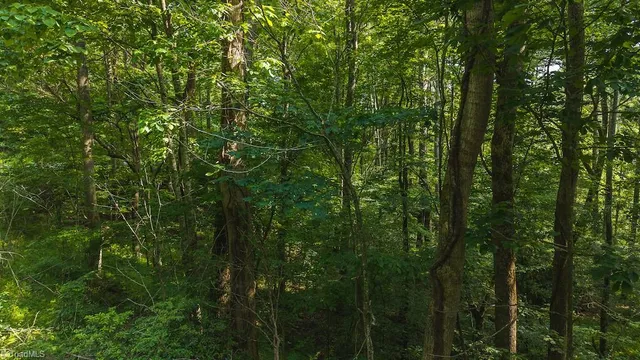 $164,900 | Tbd Brushy Mountain Road, Moravian Falls, NC 28654